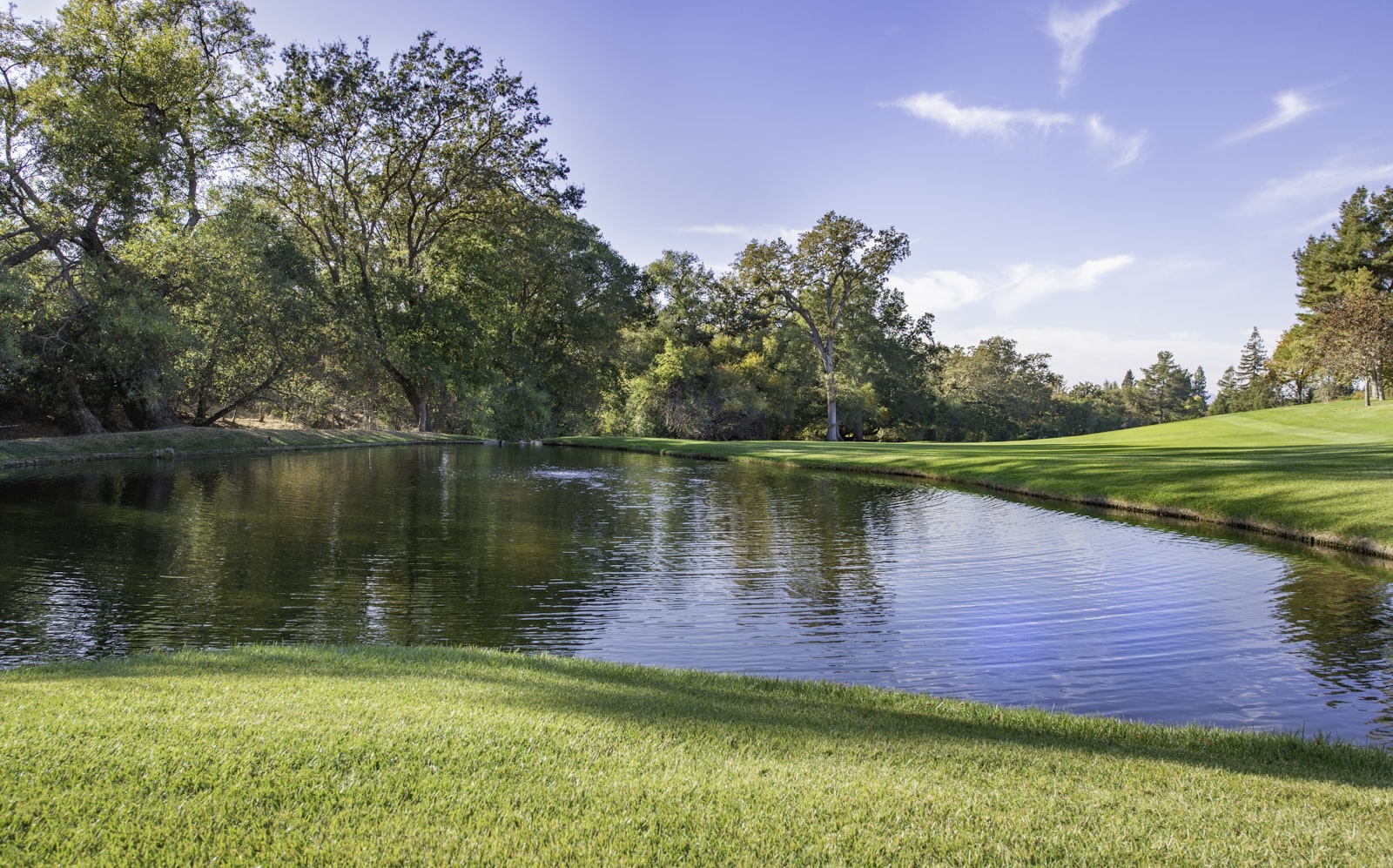 A parkland golf course wrapped around a still lake