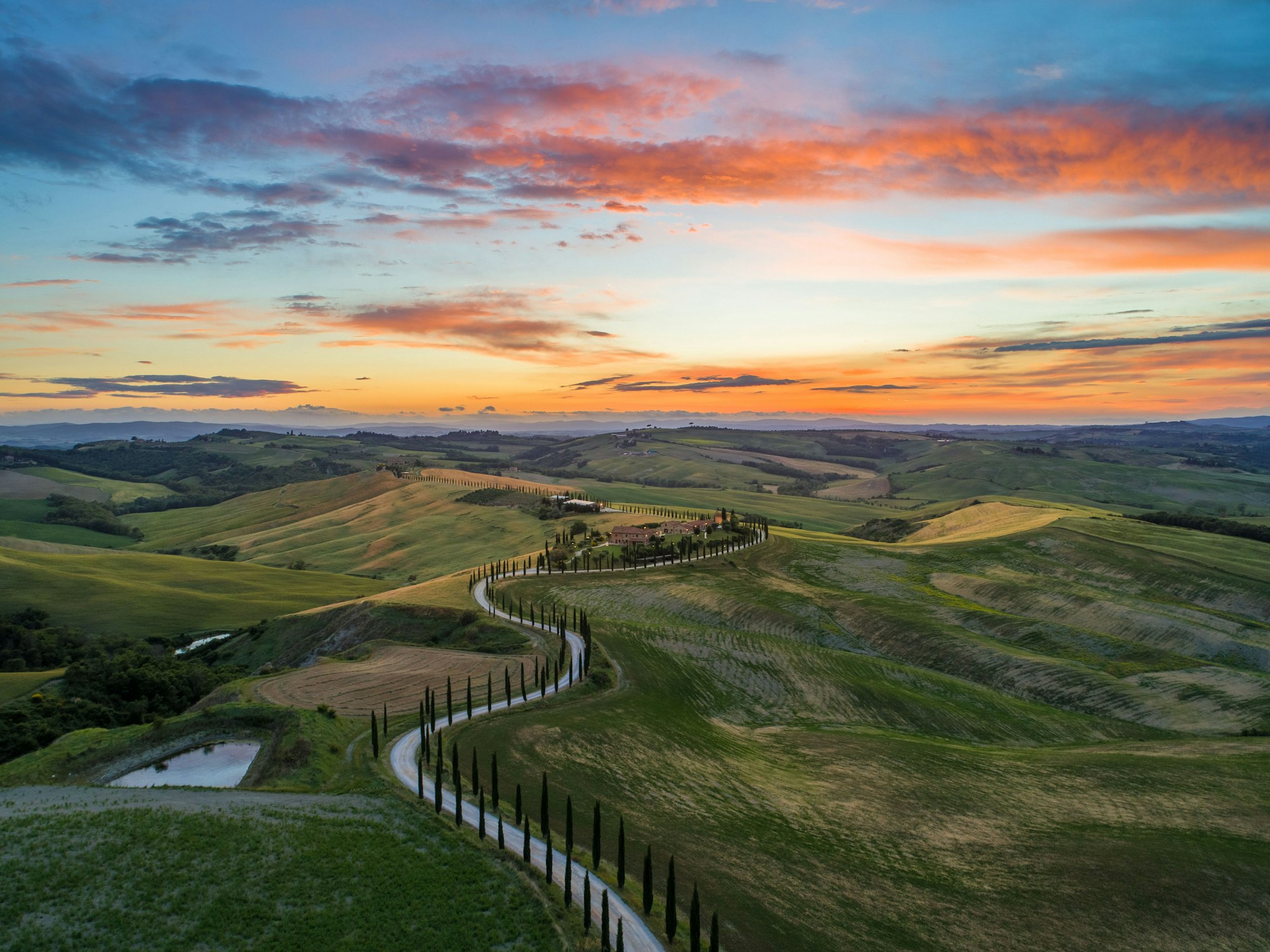 A cypress-lined road winding through the golden hills of the Val d'Orcia, Tuscany, at sunset